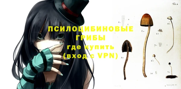 скорость Дмитриев