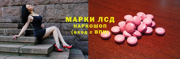 прущие грибы Дмитровск
