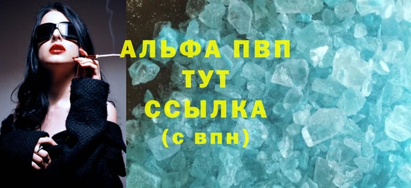 прущие грибы Дмитровск