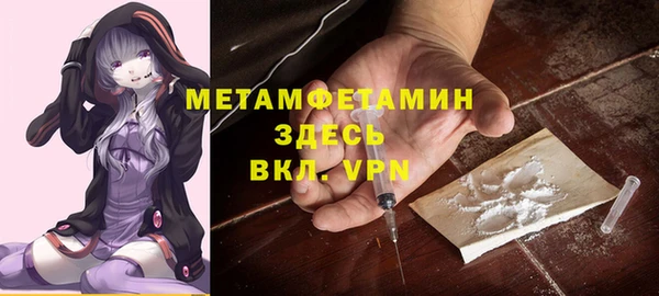 прущие грибы Дмитровск