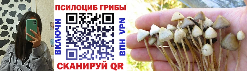 Купить  Оханск  Галлюциногенные грибы мицелий 